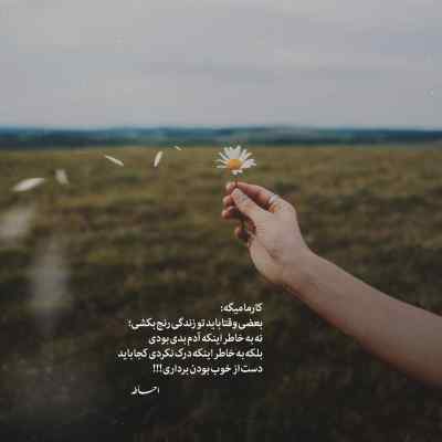 دانلود آهنگ امیر مقاره ما ادامه داریم