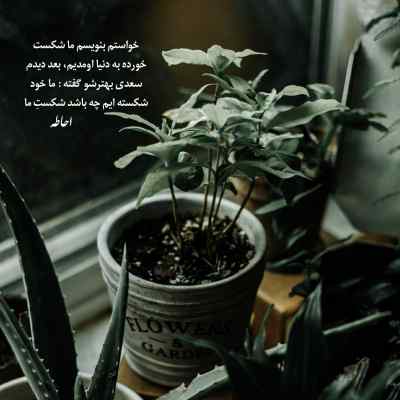 دانلود آهنگ عاشقی درد قشنگیست به جز شبهایش هوش مصنوعی