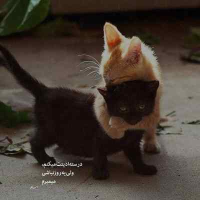 دانلود آهنگ باز دوباره تک و تنها خارج از نگاه دنیا