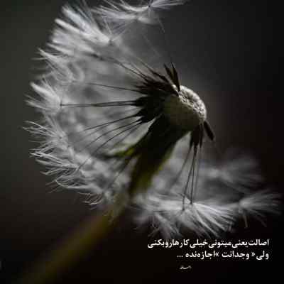 دانلود آهنگ برو با همونا که خط ندارن صاف و نازن