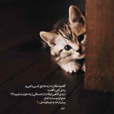 دانلود آهنگ برو بچه پررو کم بیا چشم و ابرو احد آغاسی