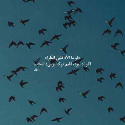 دانلود آهنگ برو دیگه دوست ندارم سیاوش شمس