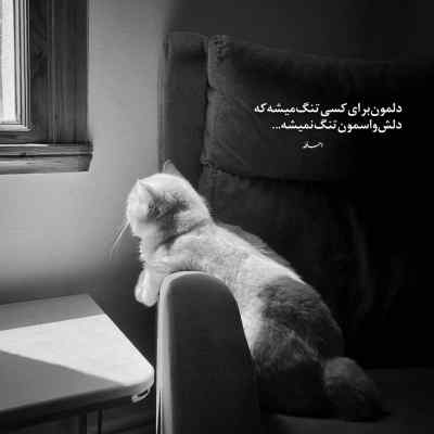 دانلود آهنگ دایان ددیم بودا گچر ددیم با صدای زن