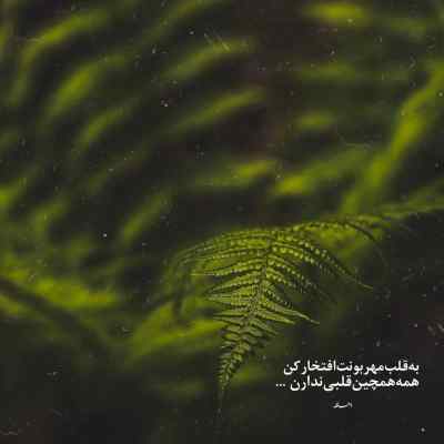 دانلود آهنگ دلمو شکوندی برو حالشو ببر