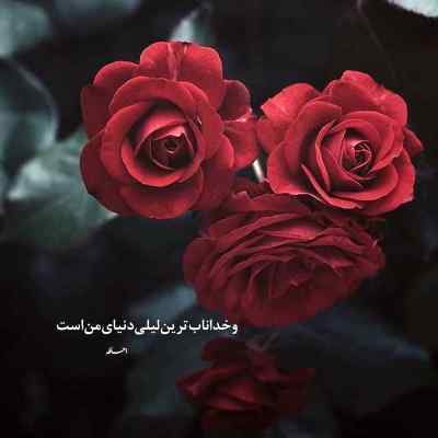دانلود آهنگ حرفای سرد تو اینا همش بهونه بود