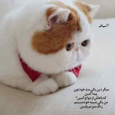 دانلود آهنگ حسنی نگو بلا بگو با صدای بچه