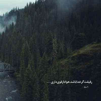 دانلود آهنگ همه صیدها بکردی محسن چاوشی