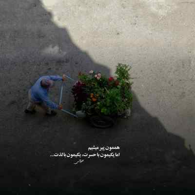 دانلود آهنگ جومه زرد جونم گلیت و چنه فرشید حکمتی