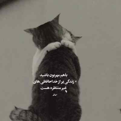 دانلود آهنگ خیلی وقته که دیگه دلت برام تنگ نمیشه پشه