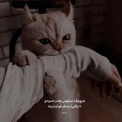 دانلود آهنگ خیالی نیست برو بد بینی