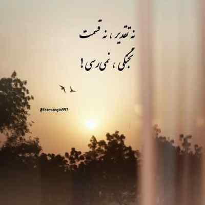 دانلود آهنگ محلم شد گنده شمرون علنا پر جرمه اسلحم نو بغلم گل ویناک
