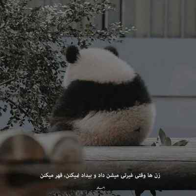 دانلود آهنگ غروبا که میشه روشن چراغا منوچهر سخایی