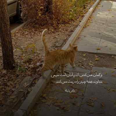 دانلود آهنگ مهدی احمدوند نه نرو نرو لیلا