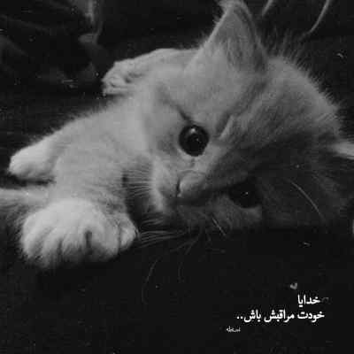 دانلود آهنگ معین با تو