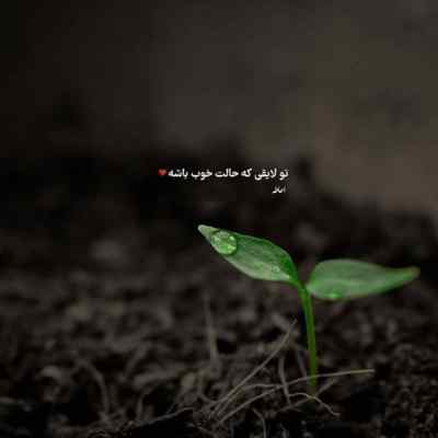 دانلود آهنگ معین ای دریغ از عمر رفته