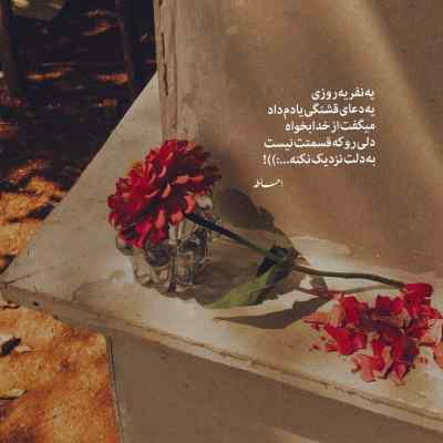 دانلود آهنگ محمد محرمی طلا