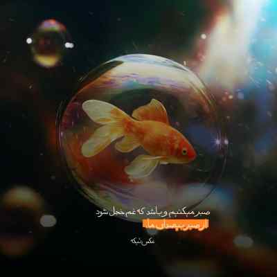 دانلود آهنگ نرو نرو ترکم نکن علیرضا امین