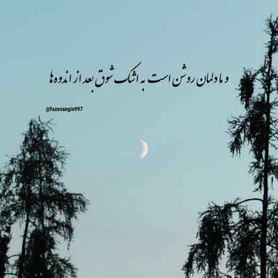 دانلود آهنگ پاتوق تنهاییام شونته محسن آقاخانی