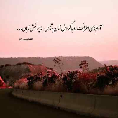 دانلود آهنگ پیک منو پر میکنی می میزنم به سلامتیت ناصر تنها