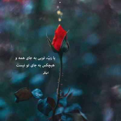 دانلود آهنگ سحر در خواب دیدم با دلی زار