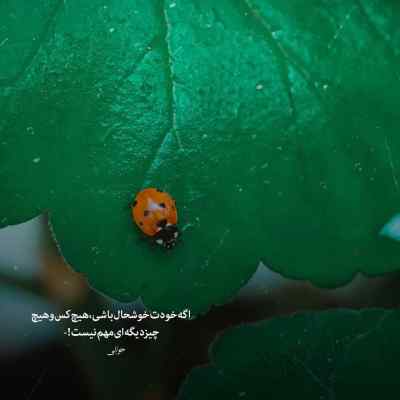 دانلود آهنگ سرمو بازم زدم دیوار چشمام خون قلبم سیاه مهیاد