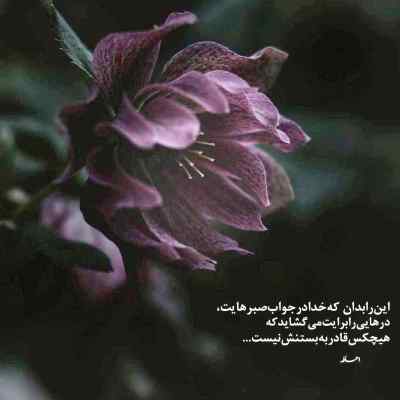 دانلود آهنگ شبا که تو خوابیدی با اینکه بلاکم مهیار