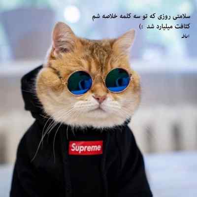 دانلود آهنگ تویی پلنگ با اون استایل گنگ