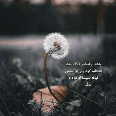دانلود آهنگ توی سرما شهرو دنبالت میگشتم حامیم