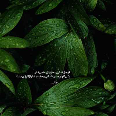 دانلود آهنگ شدم دریا شدم بارون شدم تنها شدم داغون ویناک
