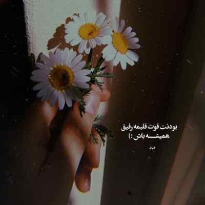 دانلود آهنگ دوست دارم نرو دوست دارم بفهم