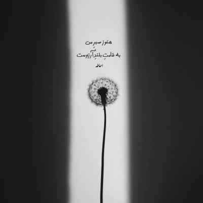 دانلود آهنگ عشق تو دروغ بود دیگه