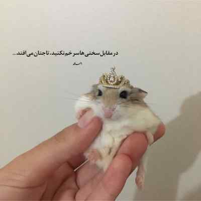 دانلود آهنگ این راهش نیست شایان اشراقی
