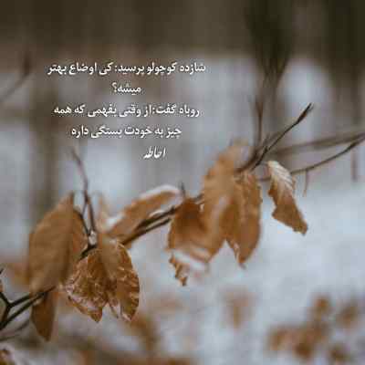 دانلود آهنگ ما که دعوا نداریم از شماعی زاده
