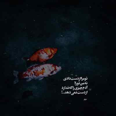دانلود ریمیکس مگه چی داره آخه من ندارم قربونت برم