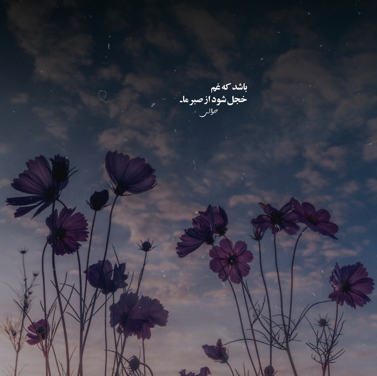 حمید هیراد ای بی خبر