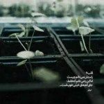 دانلود آهنگ شادمهر مثل هر رابطه ای نه سیاه بود نه سفید دانلود آهنگ شادمهر مثل هر رابطه ای نه سیاه بود نه سفید