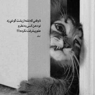 دانلود آهنگ زود برو سمت دستشویی