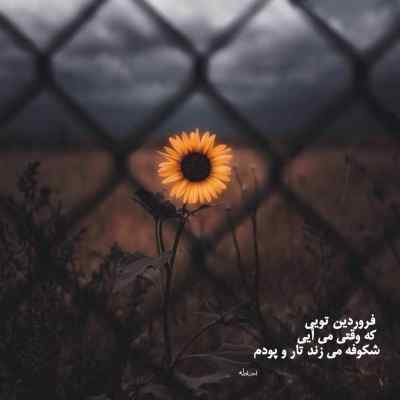 دانلود آهنگ اگه به من بود علی یاسینی