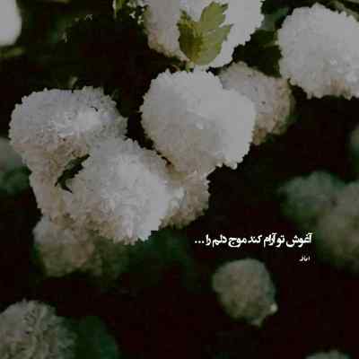 دانلود آهنگ از سنگ شده چرا اون دلت نزار تنهایی بگامون بده