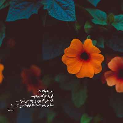 دانلود آهنگ ازم نخواه ببخشمت ببین نمردم از غمت علیرضا طلیسچی
