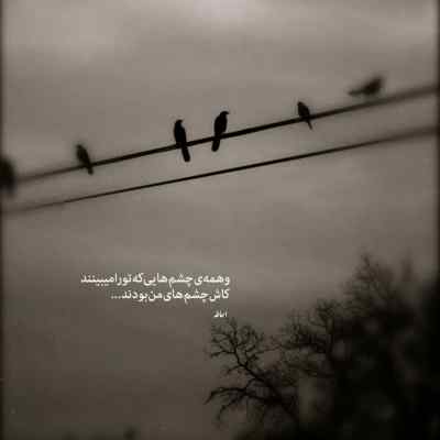 دانلود آهنگ با بچه بدا زدیم قد هلند مهیاد
