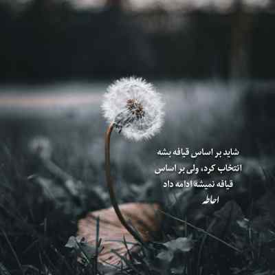 دانلود آهنگ دیگه همه به ما میگن ستون شایع