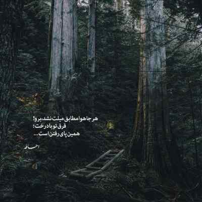 دانلود آهنگ ای درخت پر گل من نو بهارت ارغوان باد آرتوش