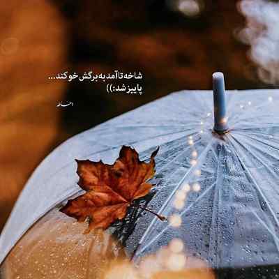 دانلود آهنگ همیشه عشق یعنی زخم ابی