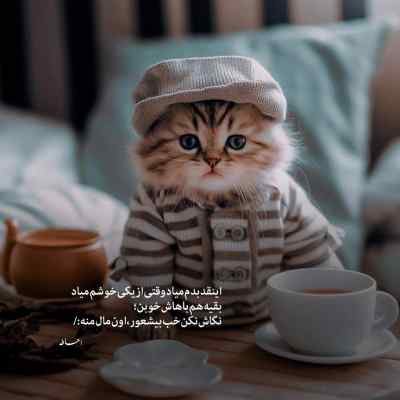 دانلود آهنگ میدونم میبازم بهت ولی میام برات مودو ملو می کنم آره با لیوان شراب