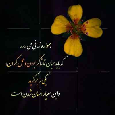دانلود آهنگ میون این همه خوشگل کیو انتخاب کنم