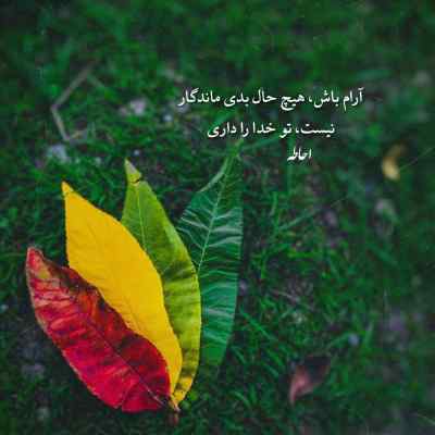 دانلود آهنگ موج گیسوی تو برده دل دریا را محمد علیزاده