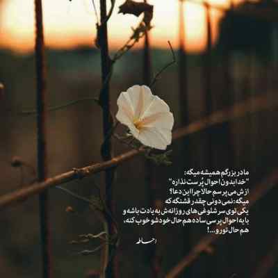 دانلود آهنگ مو فرفری خاله جان قربون فاضل رستمی