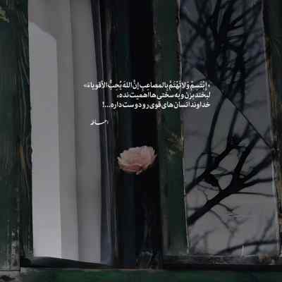 دانلود آهنگ نه نه نه نه عشق تورو نمیخوام محمد کجوری