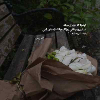 دانلود آهنگ نه تنها دل گرفتارته بلکه اگه ترکش کنی پویا